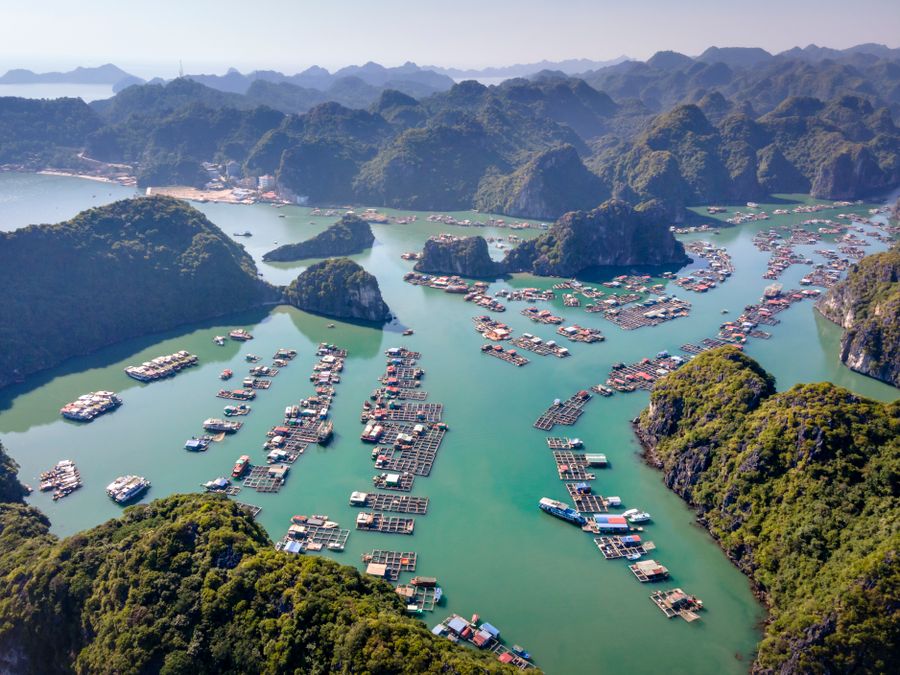 Best Time to Visit Cat Ba Island: Month by Month (2026)