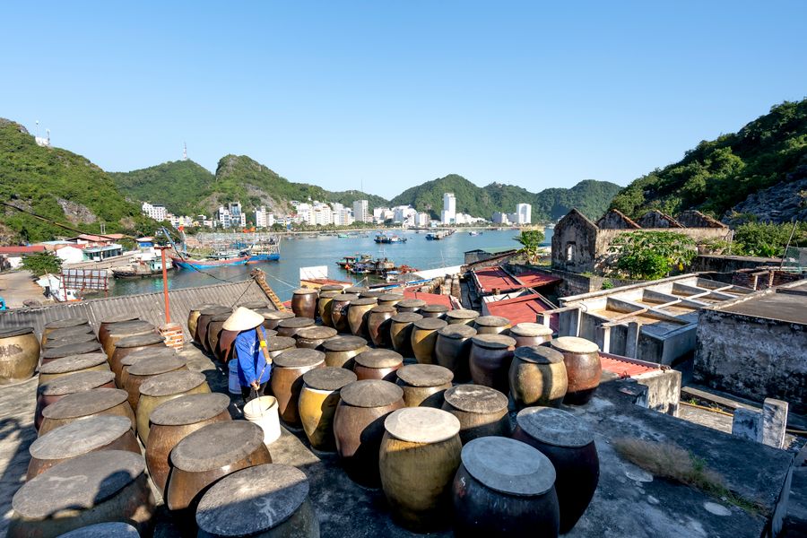 Cat Ba Island on a Budget: A Backpacker’s Guide (2026)