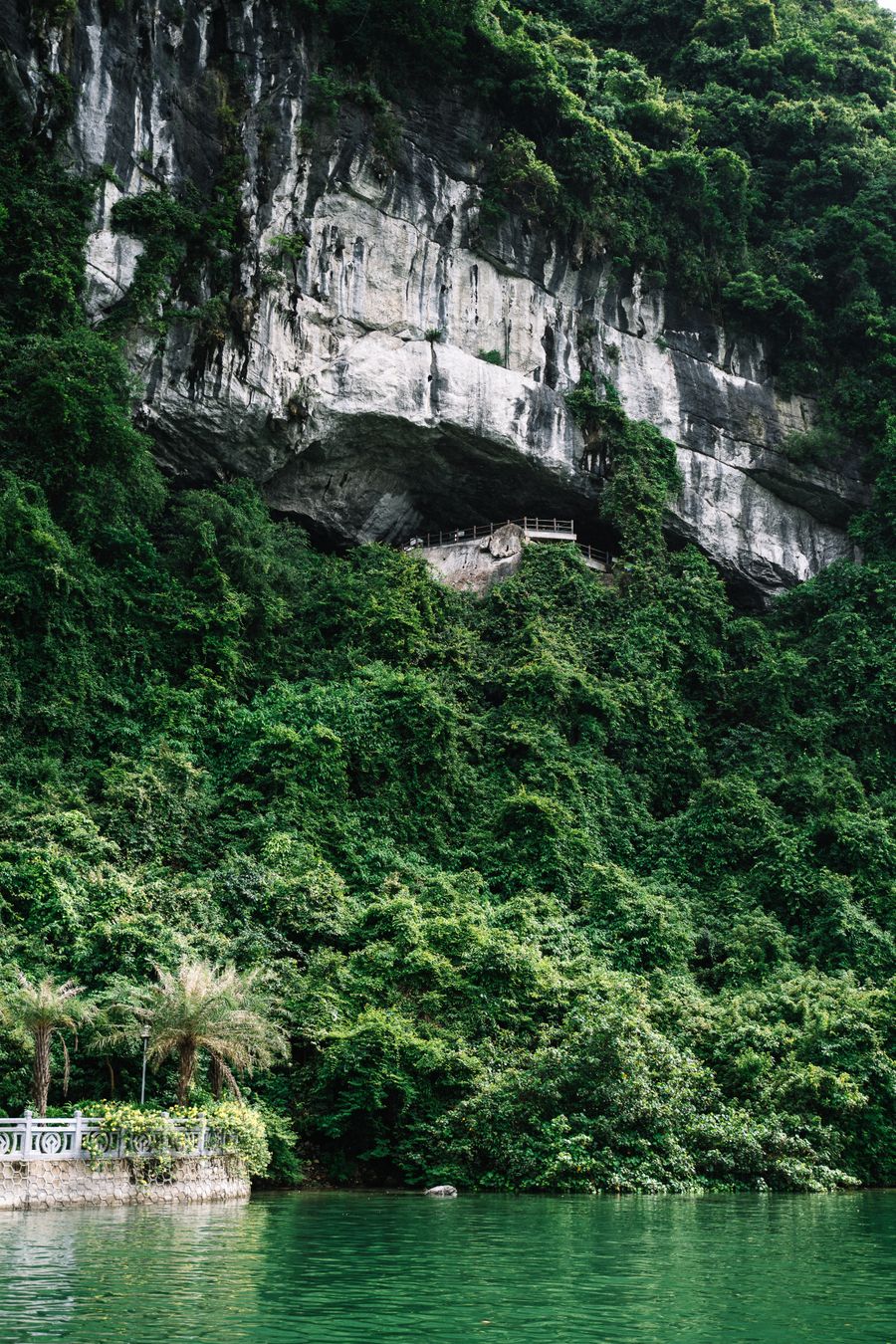 Cat Ba National Park Trekking